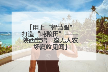 用上“智慧眼” 打造“吨粮田”——陕西宝鸡一座无人农场夏收见闻