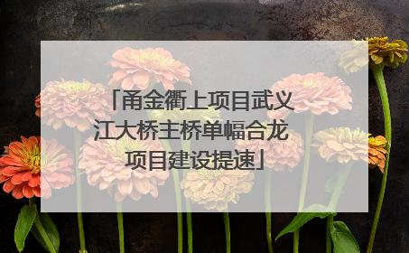 甬金衢上项目武义江大桥主桥单幅合龙 项目建设提速