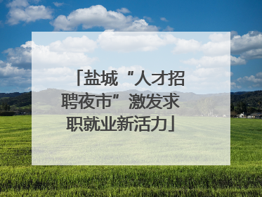 盐城“人才招聘夜市”激发求职就业新活力
