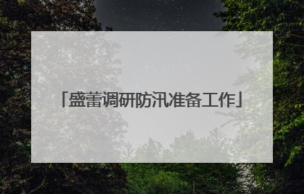 盛蕾调研防汛准备工作