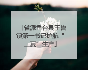 省派鱼台县王鲁镇第一书记护航“三夏”生产
