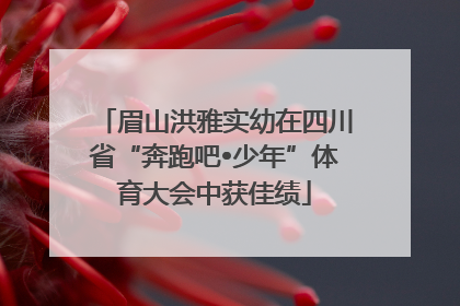 眉山洪雅实幼在四川省“奔跑吧•少年”体育大会中获佳绩