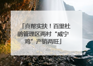 真帮实扶！百里杜鹃管理区两村“威宁鸡”产销两旺