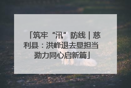 筑牢“汛”防线｜慈利县：洪峰退去显担当 勠力同心启新篇