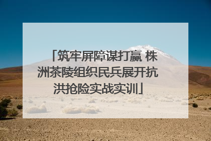 筑牢屏障谋打赢 株洲茶陵组织民兵展开抗洪抢险实战实训