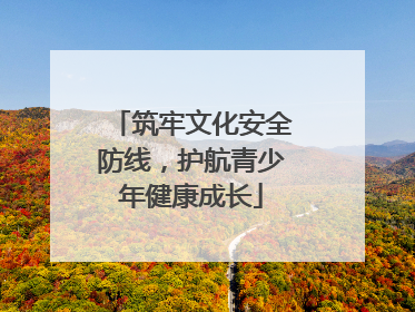 筑牢文化安全防线，护航青少年健康成长