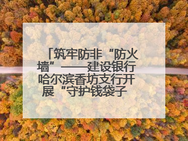 筑牢防非“防火墙”——建设银行哈尔滨香坊支行开展“守护钱袋子 护好幸福家”集中宣传日活动