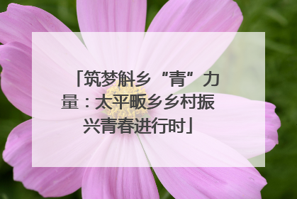 筑梦斛乡“青”力量：太平畈乡乡村振兴青春进行时