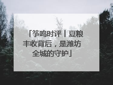筝鸣时评丨夏粮丰收背后，是潍坊全城的守护