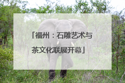 福州：石雕艺术与茶文化联展开幕