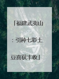 福建武夷山：引种七彩土豆喜获丰收