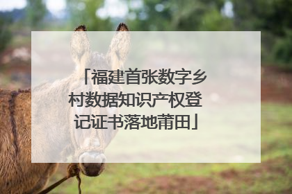 福建首张数字乡村数据知识产权登记证书落地莆田