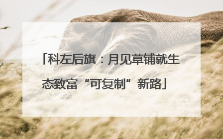 科左后旗：月见草铺就生态致富“可复制”新路