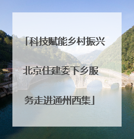 科技赋能乡村振兴 北京住建委下乡服务走进通州西集
