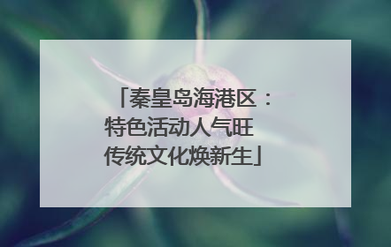 秦皇岛海港区：特色活动人气旺 传统文化焕新生