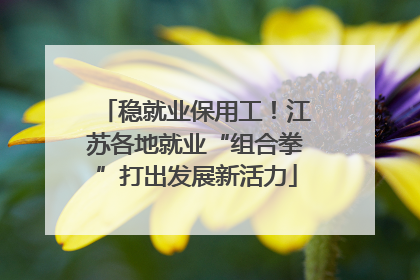 稳就业保用工！江苏各地就业“组合拳”打出发展新活力