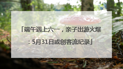 端午遇上六一，亲子出游火爆：5月31日或创客流纪录