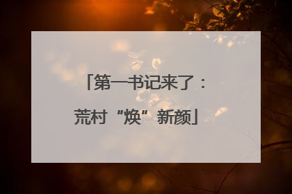 第一书记来了：荒村“焕”新颜