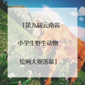 第九届云南省小学生野生动物绘画大赛落幕