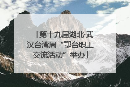 第十九届湖北·武汉台湾周“鄂台职工交流活动”举办