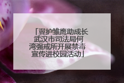 翼护雏鹰助成长 武汉市司法局何湾强戒所开展禁毒宣传进校园活动