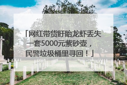 网红带货盱眙龙虾丢失一套5000元紫砂壶，民警垃圾桶里寻回！