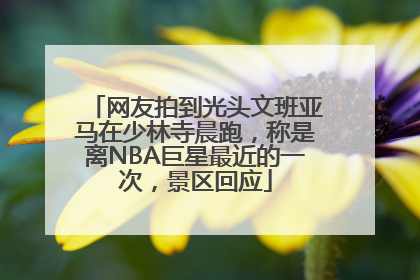 网友拍到光头文班亚马在少林寺晨跑，称是离NBA巨星最近的一次，景区回应
