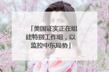 美国证实正在组建特别工作组，以监控中东局势