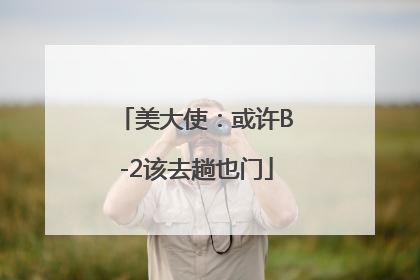 美大使：或许B-2该去趟也门