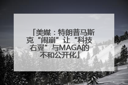 美媒：特朗普马斯克“闹崩”让“科技右翼”与MAGA的不和公开化