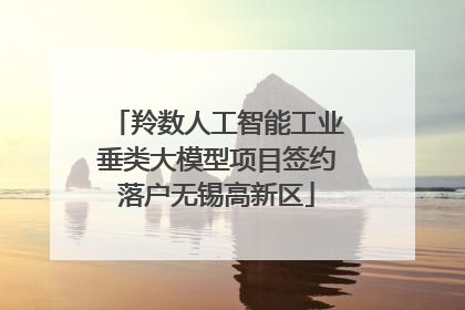 羚数人工智能工业垂类大模型项目签约落户无锡高新区