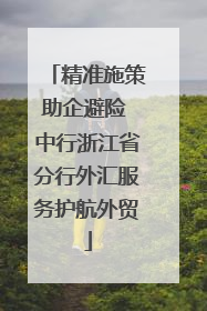 精准施策助企避险 中行浙江省分行外汇服务护航外贸