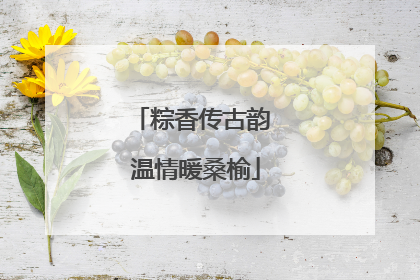 粽香传古韵 温情暖桑榆