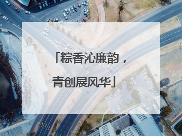 粽香沁廉韵，青创展风华