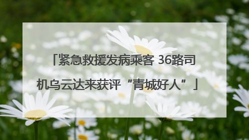 紧急救援发病乘客 36路司机乌云达来获评“青城好人”