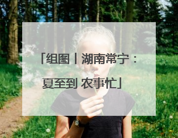 组图丨湖南常宁：夏至到 农事忙