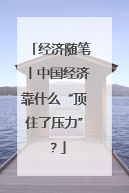 经济随笔丨中国经济靠什么“顶住了压力”？
