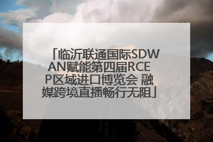 临沂联通国际SDWAN赋能第四届RCEP区域进口博览会 融媒跨境直播畅行无阻