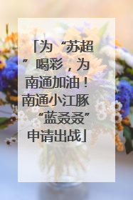 为“苏超”喝彩，为南通加油！南通小江豚“蓝叒叒”申请出战