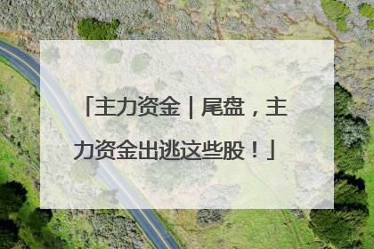 主力资金｜尾盘，主力资金出逃这些股！