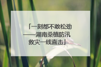 一刻都不敢松劲——湖南桑植防汛救灾一线直击