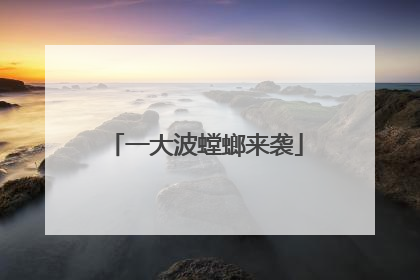一大波螳螂来袭