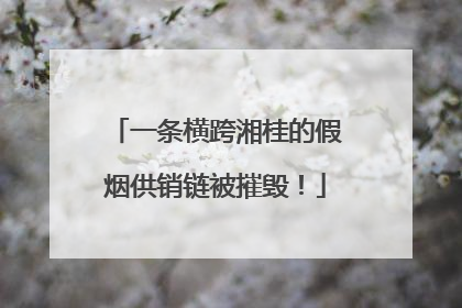 一条横跨湘桂的假烟供销链被摧毁！