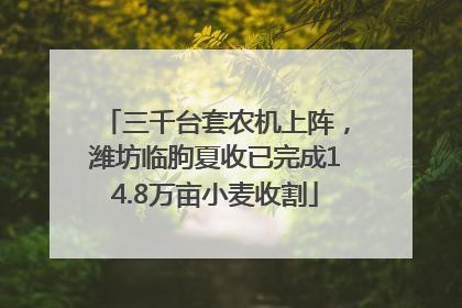 三千台套农机上阵，潍坊临朐夏收已完成14.8万亩小麦收割
