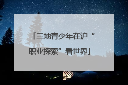 三地青少年在沪“职业探索”看世界