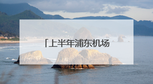 上半年浦东机场入出境外籍人员破500万人次，同比增46%