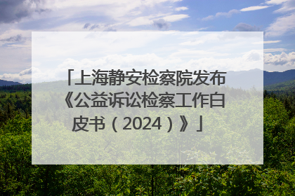 上海静安检察院发布《公益诉讼检察工作白皮书（2024）》
