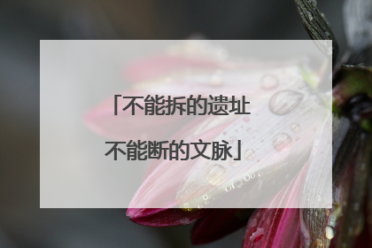不能拆的遗址 不能断的文脉
