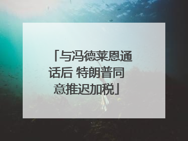 与冯德莱恩通话后 特朗普同意推迟加税