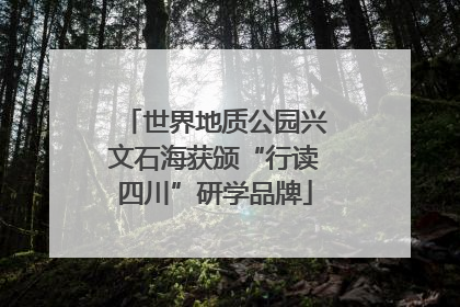 世界地质公园兴文石海获颁“行读四川”研学品牌